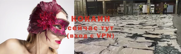 дживик Верхний Тагил
