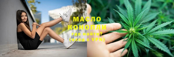 дживик Верхний Тагил
