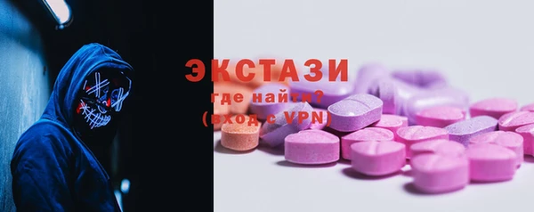 дживик Верхний Тагил
