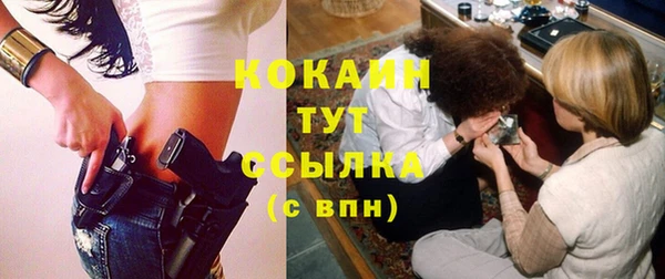 дживик Верхний Тагил