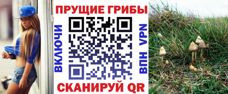 Купить где  Новохопёрск  Галлюциногенные грибы MAGIC MUSHROOMS 