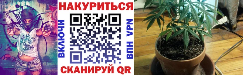 Купить где  Новохопёрск  Конопля семена 